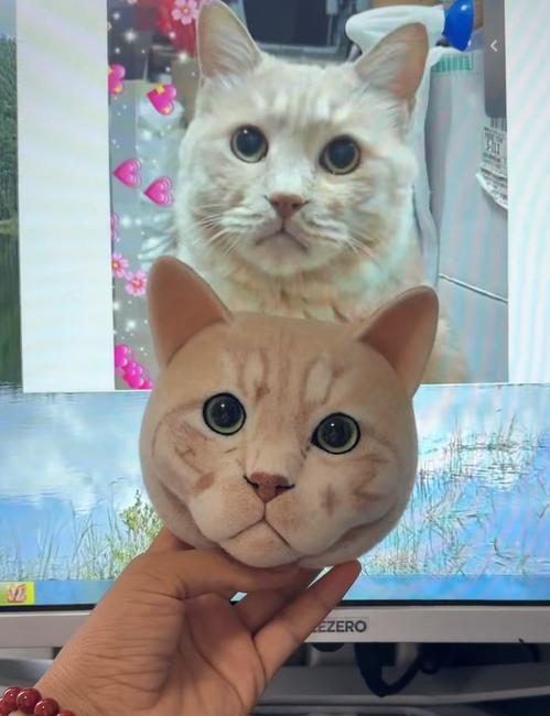 Handmade customize cat: (short-hair) Making.